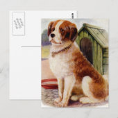 Sankt Bernhard Postkarte (Vorne/Hinten)