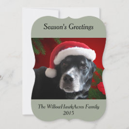 Sankt Dog-Lab/Rottweiler mit Feiertags-Hintergrund Feiertagskarte