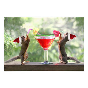 Sankt-Eichhörnchen, die ein Cocktail trinken Fotodruck