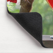 Sankt-Eichhörnchen, die ein Cocktail trinken Mousepad (Ecke)