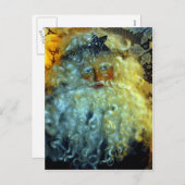 Sankt Gesicht Feiertagspostkarte (Vorne/Hinten)