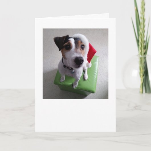 Sankt-Jack-Russell-Terrier-Weihnachtskarte Feiertagskarte (Vorderseite)