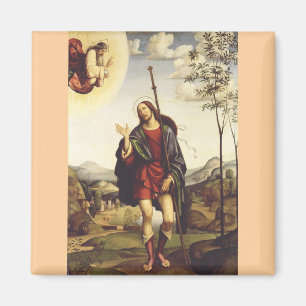 Sankt Rochus von Francesco Francia  Magnet