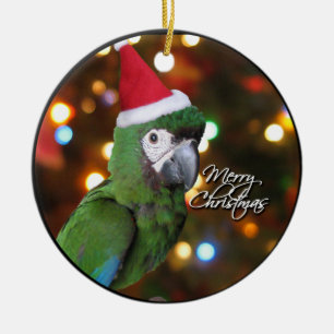 Sankt strenge Macaw-Weihnachtsverzierung Keramikornament