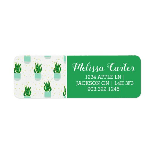 Sansevieria Schlange Pflanze drucken (Vorne)