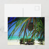 Sansibar, Africa Postcard Postkarte (Vorne/Hinten)