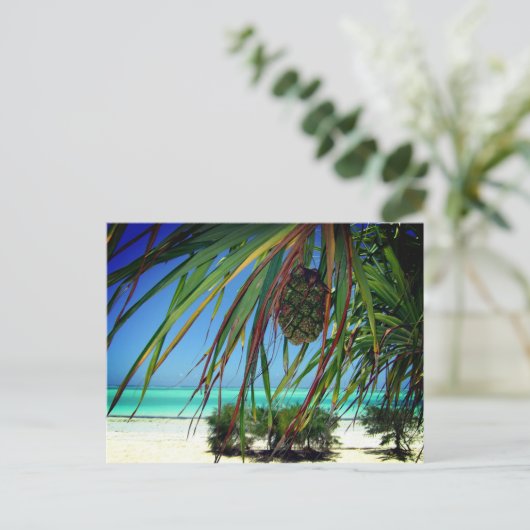 Sansibar, Afrika Postkarte (Stehend Vorderseite)