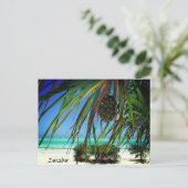 Sansibar Beach Palm Trees , Africa Postcard Postkarte (Stehend Vorderseite)