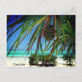 Sansibar Beach Palm Trees , Africa Postcard Postkarte (Vorderseite)