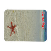 Sansibar - Meerblick - Starfish - Magnet (Horizontal)