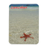 Sansibar - Meerblick - Starfish - Magnet (Vertikal)