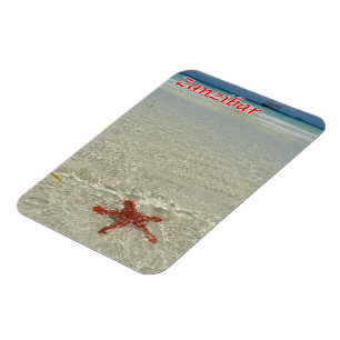 Sansibar - Meerblick - Starfish - Magnet