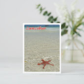 Sansibar - Meerblick - Starfish - Postkarte (Stehend Vorderseite)