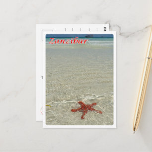 Sansibar - Meerblick - Starfish - Postkarte