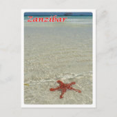 Sansibar - Meerblick - Starfish - Postkarte (Vorderseite)