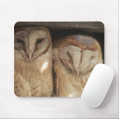 Sansibar, Tansania, Ostafrika Mousepad (Mit Mouse)