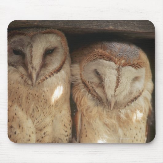 Sansibar, Tansania, Ostafrika Mousepad (Vorne)