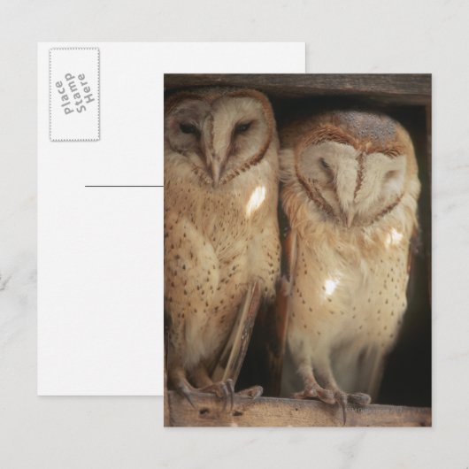 Sansibar, Tansania, Ostafrika Postkarte (Vorne/Hinten)