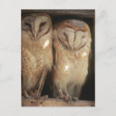 Sansibar, Tansania, Ostafrika Postkarte (Vorderseite)