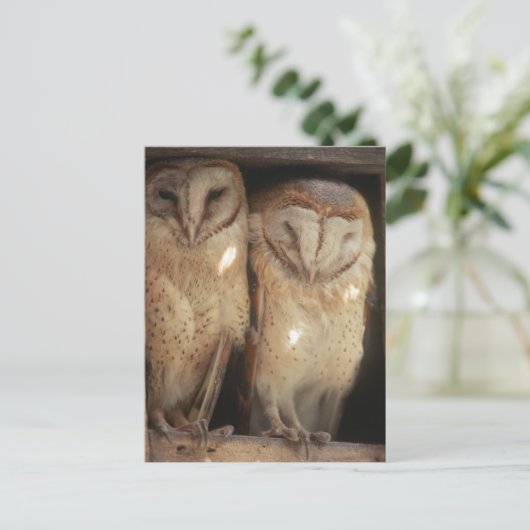 Sansibar, Tansania, Ostafrika Postkarte (Stehend Vorderseite)