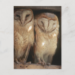 Sansibar, Tansania, Ostafrika Postkarte