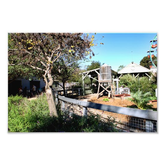 Santa-Ana-Zoo Fotodruck (Vorne)