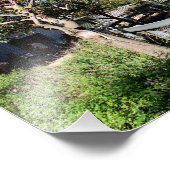 Santa-Ana-Zoo Fotodruck (Ecke)