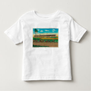 Santa Anita Park-Pferd RacesArcadia, CA Kleinkind T-shirt
