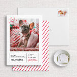 Santa Approved Naughty oder Nice Form Foto Feiertagskarte<br><div class="desc">Mit der Santa Approved Naughty oder Nice Form Foto Holiday Card können Sie Ihre Urlaubssgrüße auf wunderbare und skurrile Weise teilen und Ihren zauberhaften Zorn-Freund präsentieren. 🐾 Briefmarke der Genehmigung durch den Weihnachtsmann 🐾 Diese Weihnachtskarte ist wirklich einzigartig, mit einer offiziellen Briefmarke vom Weihnachtsmann selbst. Die Briefmarke erklärt stolz, "Der...</div>