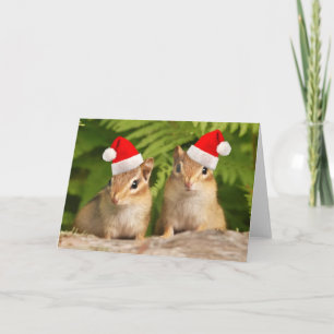 Santa Baby Chipmunkkarte Feiertagskarte