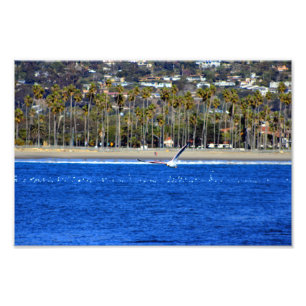 Santa Barbara, CA Fotodruck