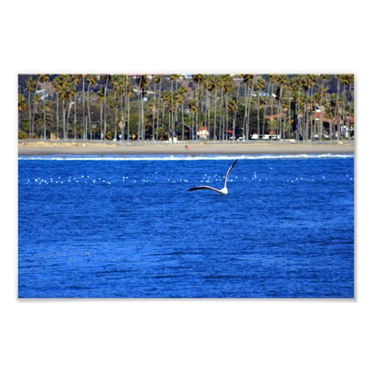 Santa Barbara, CA Fotodruck (Vorne)