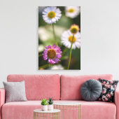 Santa Barbara Daisies Leinwanddruck (Insitu (Wohnzimmer))