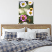 Santa Barbara Daisies Leinwanddruck (Insitu (Schlafzimmer))
