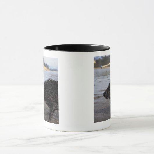 Santa Barbara, Kalifornien, USA Tasse (Zentrum)