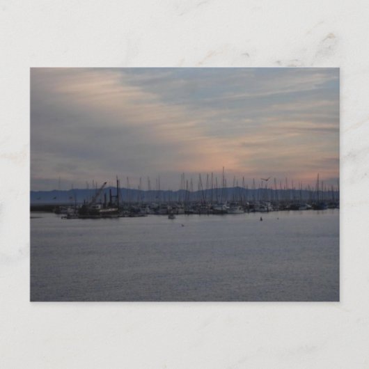 Santa Barbara Pier Postkarte (Vorderseite)