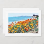 Santa Barbara Poppies Feiertagskarte (Vorne/Hinten)