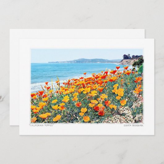 Santa Barbara Poppies Feiertagskarte (Vorne/Hinten)