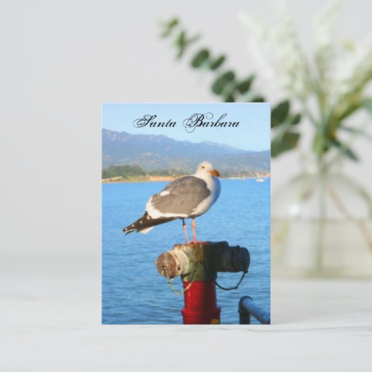 Santa Barbara Seagull Postkarte (Stehend Vorderseite)