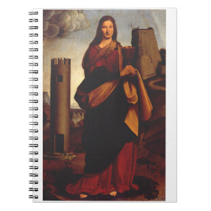 Santa Barbara von Giovanni Antonio Boltraffio Notizblock