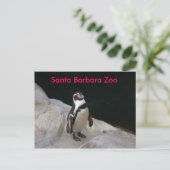 Santa Barbara Zoo Postkarte (Stehend Vorderseite)
