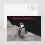 Santa Barbara Zoo Postkarte (Vorne/Hinten)