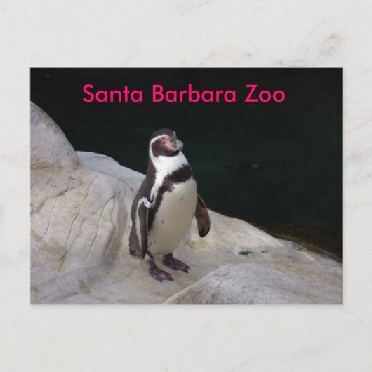 Santa Barbara Zoo Postkarte (Vorderseite)