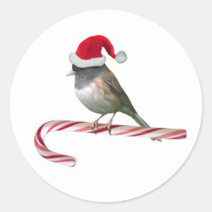Santa Bird auf Candy Cane Stickers