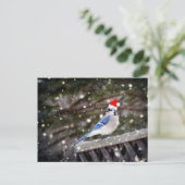 Santa Blue Jay Feiertagspostkarte (Stehend Vorderseite)