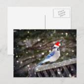 Santa Blue Jay Feiertagspostkarte (Vorne/Hinten)