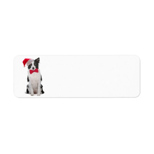 Santa Border Collie Rücksendeadressen-Aufkleber (Vorne)