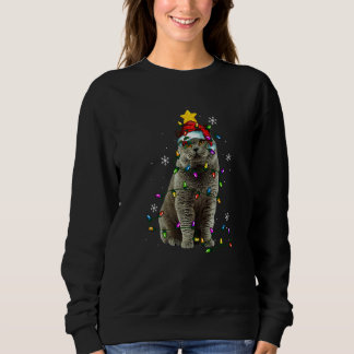Santa British Shorthair Cat  Kitten Christmas Ligh Sweatshirt