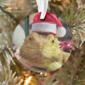 Santa Bubbs Acrylschmuck Ornament