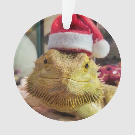 Santa Bubbs Acrylschmuck Ornament (Vorderseite)